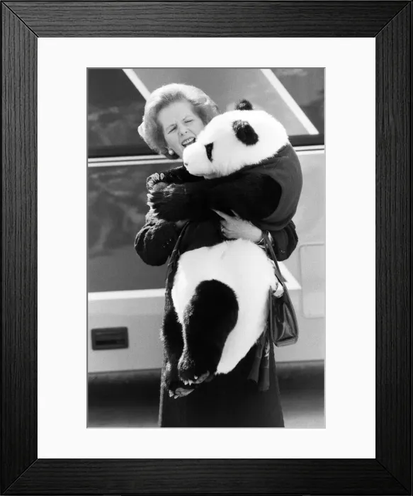 Framed Print : Prime Minister Margaret Thatcher campaigning in Ealing. 30th May 1987 Framed Print : Prime Minister Margaret Thatcher campaigning in Ealing. 30th May 1987