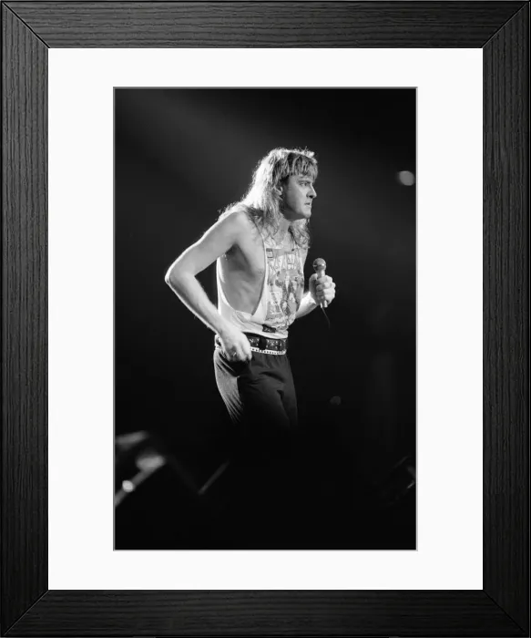 Framed Print : Def Leppard, the first headlining act at play at The Forum Framed Print : Def Leppard, the first headlining act at play at The Forum
