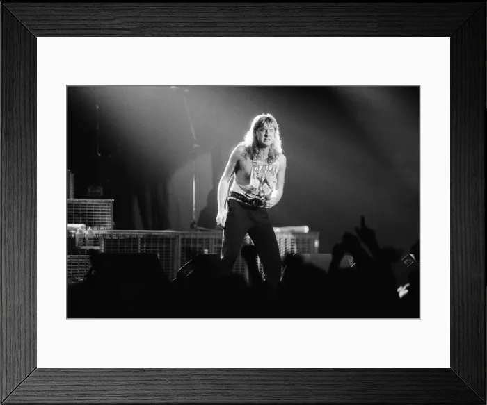 Framed Print : Def Leppard, the first headlining act at play at The Forum Framed Print : Def Leppard, the first headlining act at play at The Forum