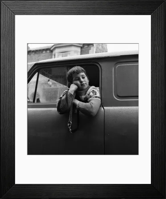 Framed Print : Obedience dog disappears, Middlesbrough. 1971 Framed Print : Obedience dog disappears, Middlesbrough. 1971