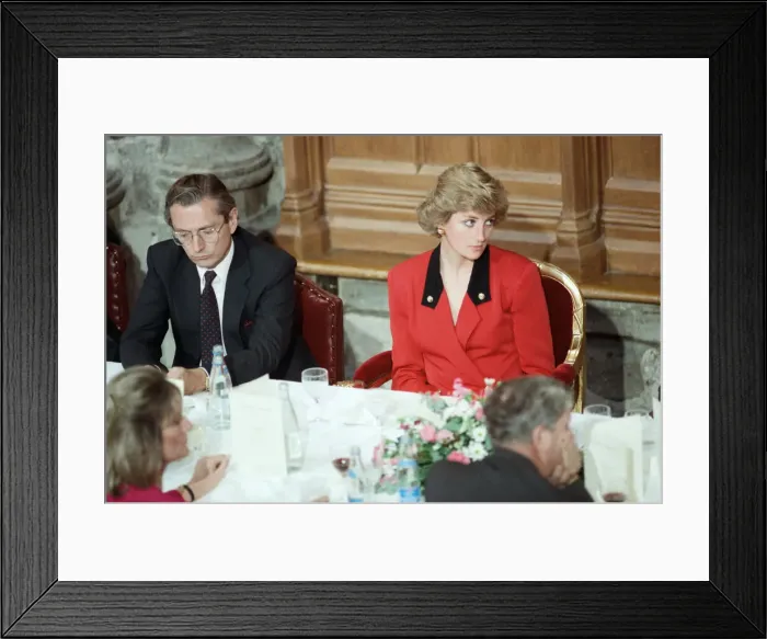 Framed Print : Diana, Princess of Wales attends the launch of the National AIDS Trust at Guildhall Framed Print : Diana, Princess of Wales attends the launch of the National AIDS Trust at Guildhall