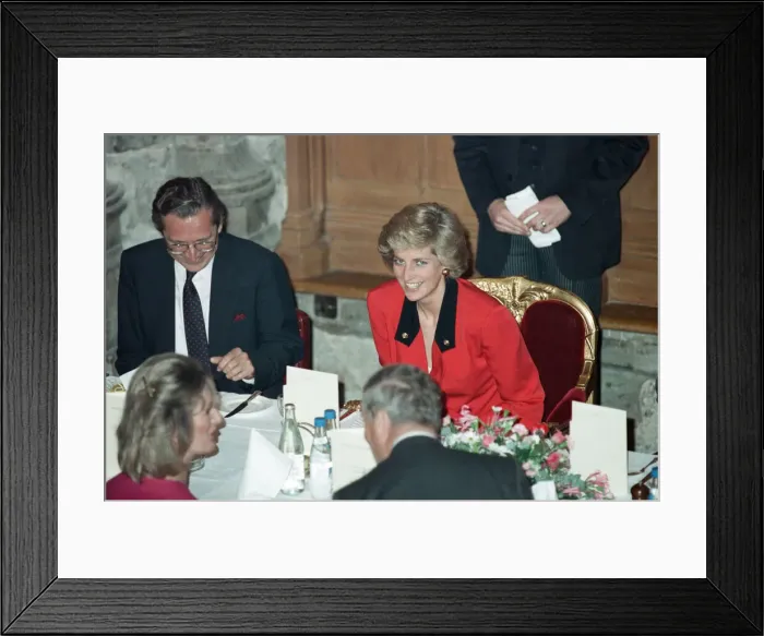Framed Print : Diana, Princess of Wales attends the launch of the National AIDS Trust at Guildhall Framed Print : Diana, Princess of Wales attends the launch of the National AIDS Trust at Guildhall