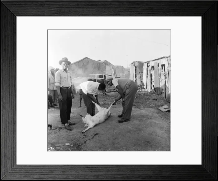 Framed Print : Black Communities in Cape Town, South Africa, 28th January 1955 Framed Print : Black Communities in Cape Town, South Africa, 28th January 1955