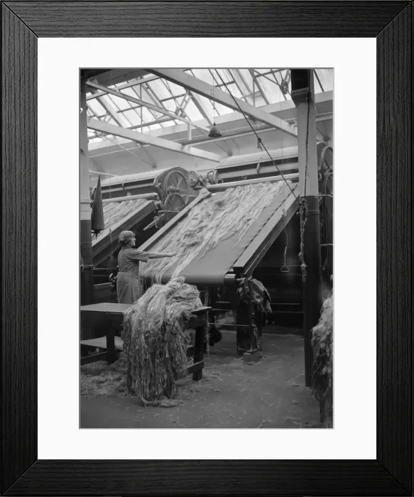 Framed Print : Female worker breaking jute in Dundee Jute Mill, Dundee, Scotland. 16 October 1931 Framed Print : Female worker breaking jute in Dundee Jute Mill, Dundee, Scotland. 16 October 1931