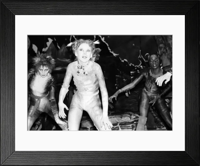 Framed Print : Cast members of Cats, musical based on T. S. Eliot 1939 poetry book Old Possum
