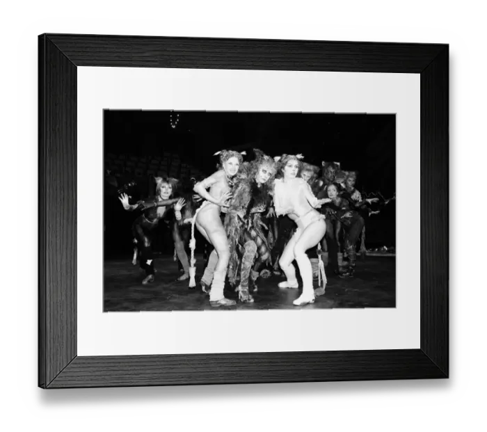 Framed Print : Cast members of Cats, musical based on T. S. Eliot 1939 poetry book Old Possum Framed Print : Cast members of Cats, musical based on T. S. Eliot 1939 poetry book Old Possum