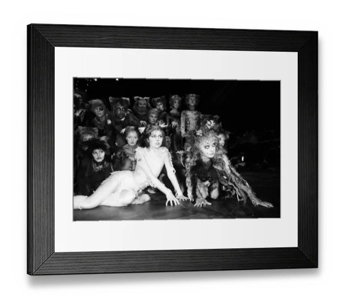 Framed Print : Cast members of Cats, musical based on T. S. Eliot 1939 poetry book Old Possum Framed Print : Cast members of Cats, musical based on T. S. Eliot 1939 poetry book Old Possum