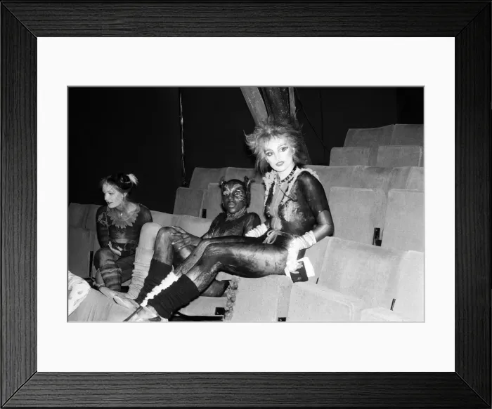 Framed Print : Cast members of Cats, musical based on T. S. Eliot 1939 poetry book Old Possum