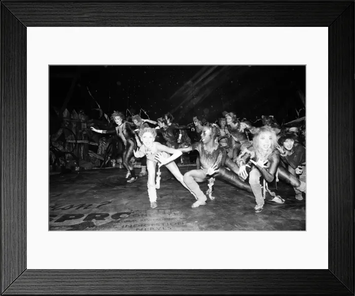 Framed Print : Cast members of Cats, musical based on T. S. Eliot 1939 poetry book Old Possum
