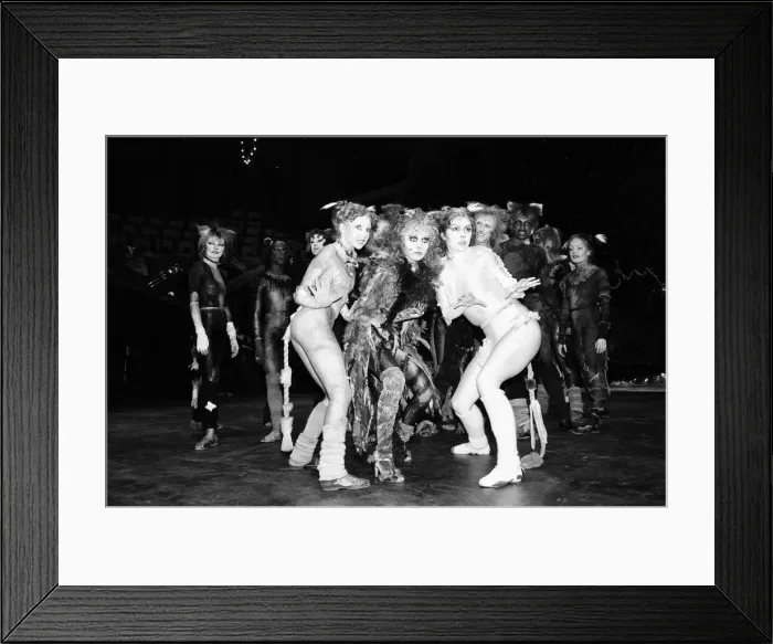 Framed Print : Cast members of Cats, musical based on T. S. Eliot 1939 poetry book Old Possum Framed Print : Cast members of Cats, musical based on T. S. Eliot 1939 poetry book Old Possum