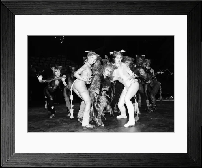 Framed Print : Cast members of Cats, musical based on T. S. Eliot 1939 poetry book Old Possum