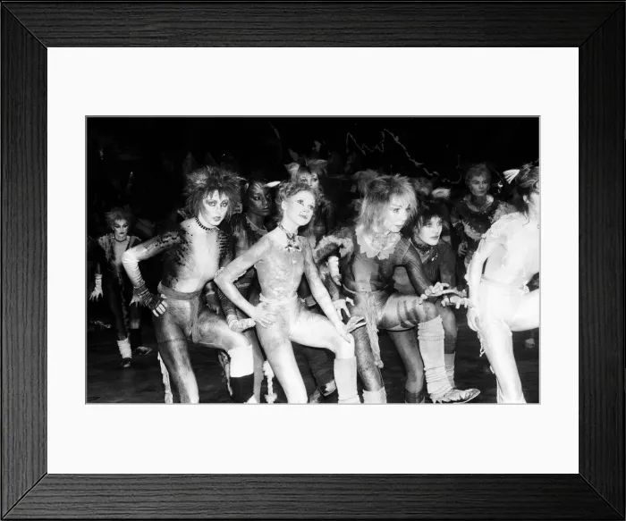 Framed Print : Cast members of Cats, musical based on T. S. Eliot 1939 poetry book Old Possum Framed Print : Cast members of Cats, musical based on T. S. Eliot 1939 poetry book Old Possum