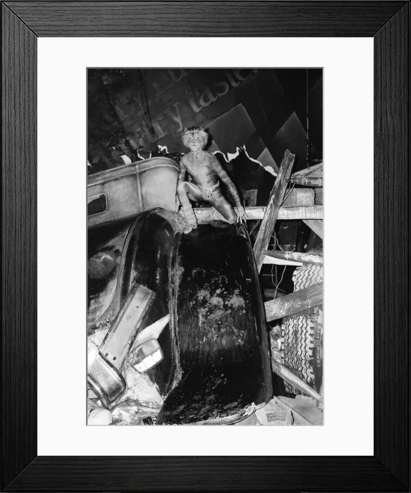 Framed Print : Kenn Wells, dancer who plays the character Skimbleshanks in West End show Cats Framed Print : Kenn Wells, dancer who plays the character Skimbleshanks in West End show Cats