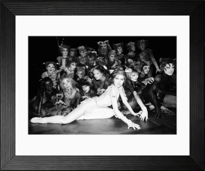 Framed Print : Cast members of Cats, musical based on T. S. Eliot 1939 poetry book Old Possum Framed Print : Cast members of Cats, musical based on T. S. Eliot 1939 poetry book Old Possum