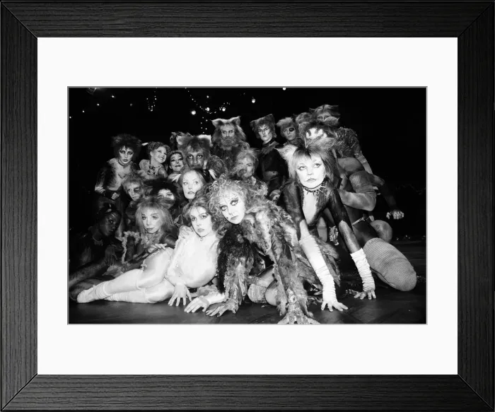 Framed Print : Cast members of Cats, musical based on T. S. Eliot 1939 poetry book Old Possum