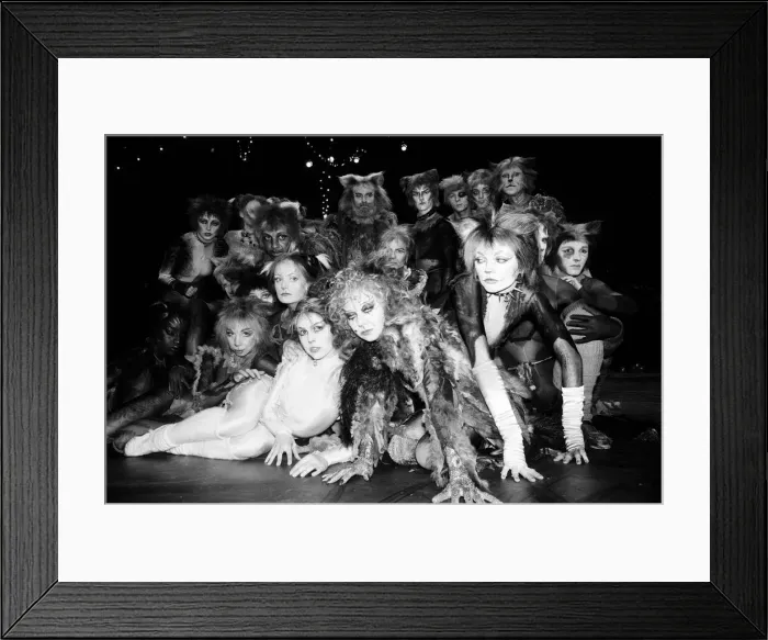 Framed Print : Cast members of Cats, musical based on T. S. Eliot 1939 poetry book Old Possum Framed Print : Cast members of Cats, musical based on T. S. Eliot 1939 poetry book Old Possum