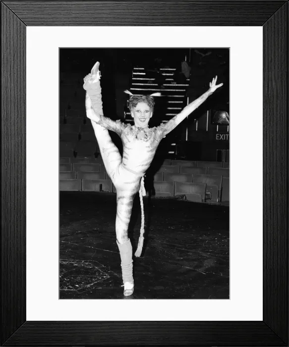 Framed Print : Bonnie Langford, star of hit musical Cats, she plays the character Rumpleteazer in Framed Print : Bonnie Langford, star of hit musical Cats, she plays the character Rumpleteazer in