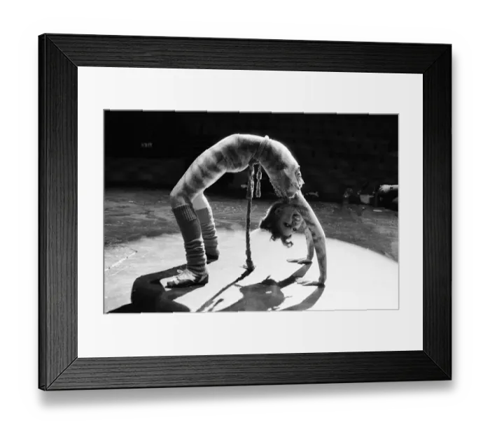 Framed Print : Bonnie Langford, star of hit musical Cats, she plays the character Rumpleteazer in Framed Print : Bonnie Langford, star of hit musical Cats, she plays the character Rumpleteazer in