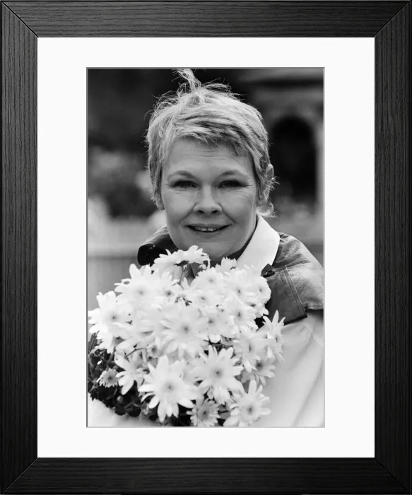 Framed Print : Actress, Judi Dench. 10th April 1987 Framed Print : Actress, Judi Dench. 10th April 1987