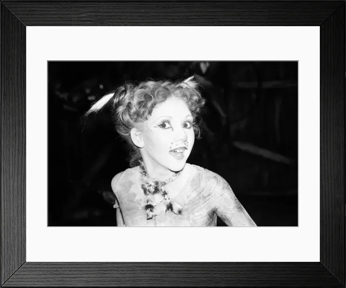 Framed Print : Cast members of Cats, musical based on T. S. Eliot 1939 poetry book Old Possum Framed Print : Cast members of Cats, musical based on T. S. Eliot 1939 poetry book Old Possum