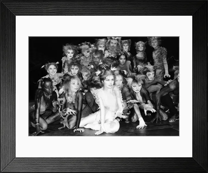 Framed Print : Cast members of Cats, musical based on T. S. Eliot 1939 poetry book Old Possum Framed Print : Cast members of Cats, musical based on T. S. Eliot 1939 poetry book Old Possum