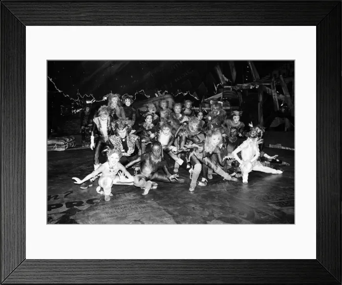 Framed Print : Cast members of Cats, musical based on T. S. Eliot 1939 poetry book Old Possum Framed Print : Cast members of Cats, musical based on T. S. Eliot 1939 poetry book Old Possum