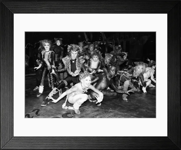 Framed Print : Cast members of Cats, musical based on T. S. Eliot 1939 poetry book Old Possum Framed Print : Cast members of Cats, musical based on T. S. Eliot 1939 poetry book Old Possum