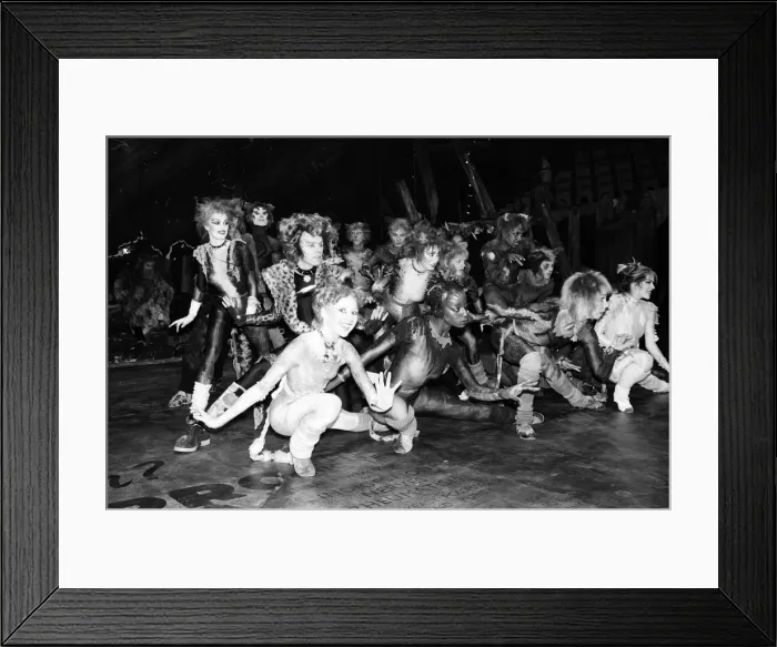 Framed Print : Cast members of Cats, musical based on T. S. Eliot 1939 poetry book Old Possum Framed Print : Cast members of Cats, musical based on T. S. Eliot 1939 poetry book Old Possum