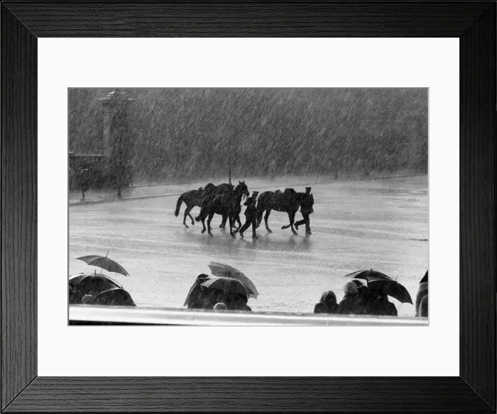 Framed Print : The state visit to England by the King and Queen of Thailand Framed Print : The state visit to England by the King and Queen of Thailand