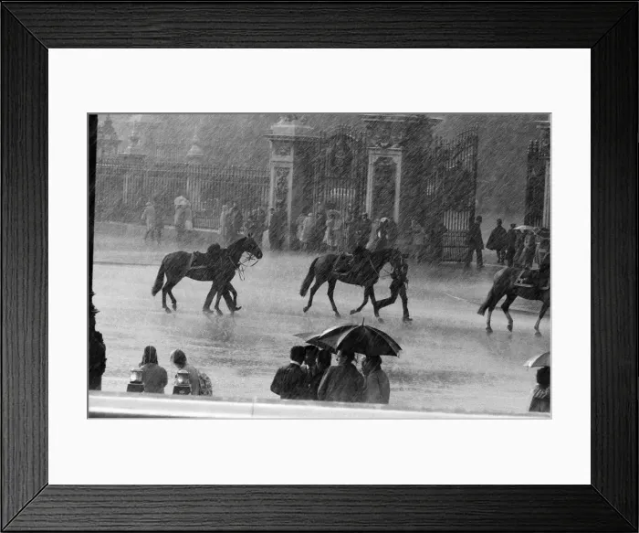 Framed Print : The state visit to England by the King and Queen of Thailand Framed Print : The state visit to England by the King and Queen of Thailand