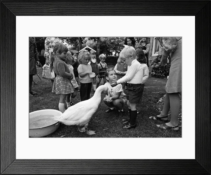 Framed Print : Pet Goose goes to school, Teesside. 1973 Framed Print : Pet Goose goes to school, Teesside. 1973