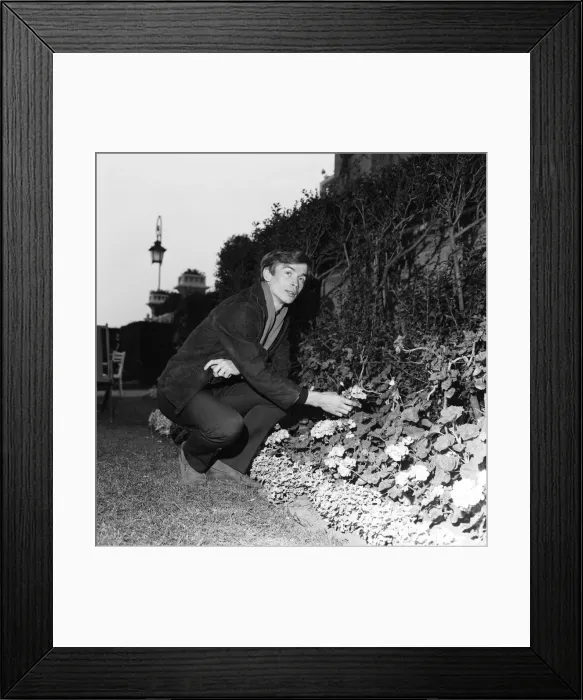 Framed Print : Rudolf Nureyev, Soviet Union Ballet dancer who recently defected to the West Framed Print : Rudolf Nureyev, Soviet Union Ballet dancer who recently defected to the West