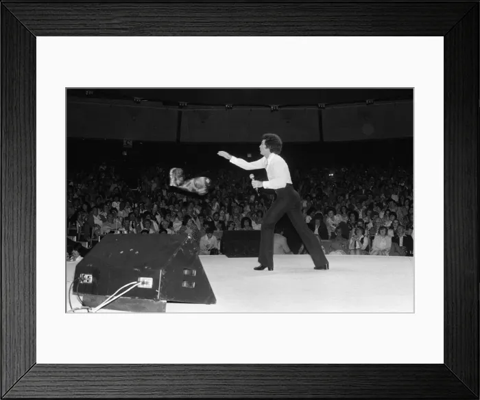 Framed Print : Tom Jones performing at the Westbury Music Festival, just outside New York Framed Print : Tom Jones performing at the Westbury Music Festival, just outside New York