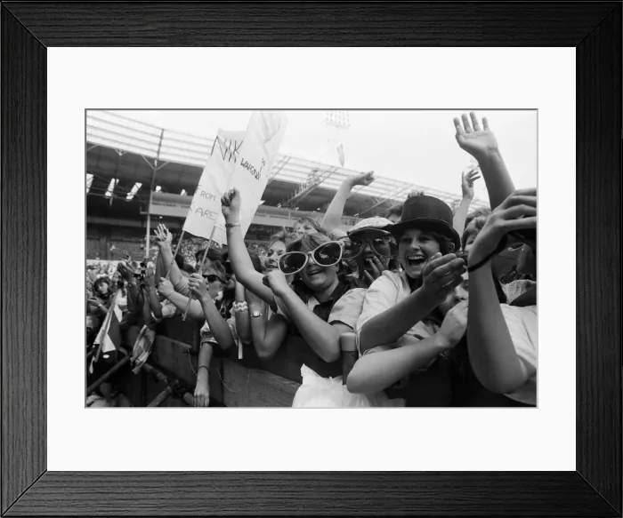 Framed Print : Fans at the Summer of 84'concert at Wembley Stadium