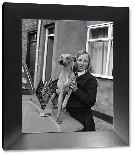 13-year-old girl owns champion Whippet, Guisborough. 1971