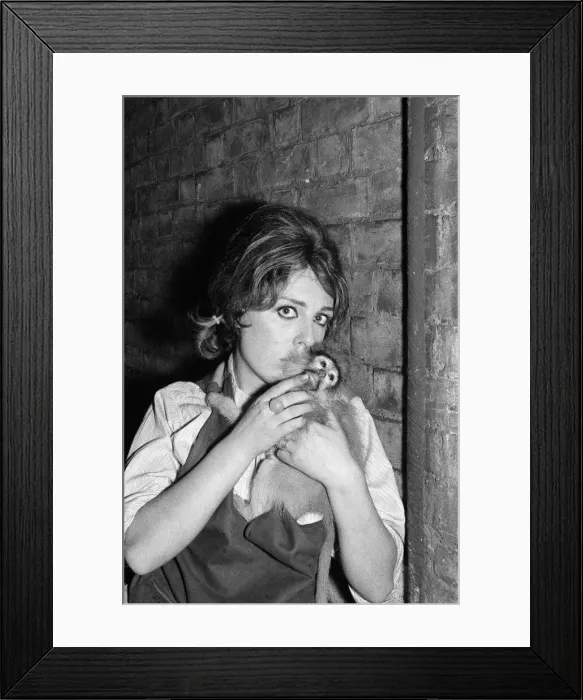 Framed Print : A Beatnik party at Hampstead. August 1960 Framed Print : A Beatnik party at Hampstead. August 1960