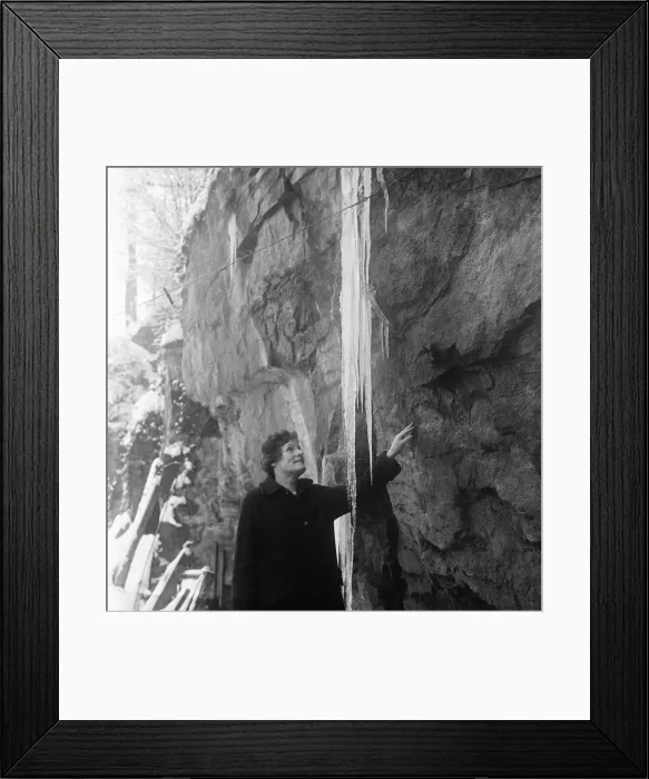 Framed Print : Icicles in Snuff Mills Park after the temperture punges below zero 4th January 1963