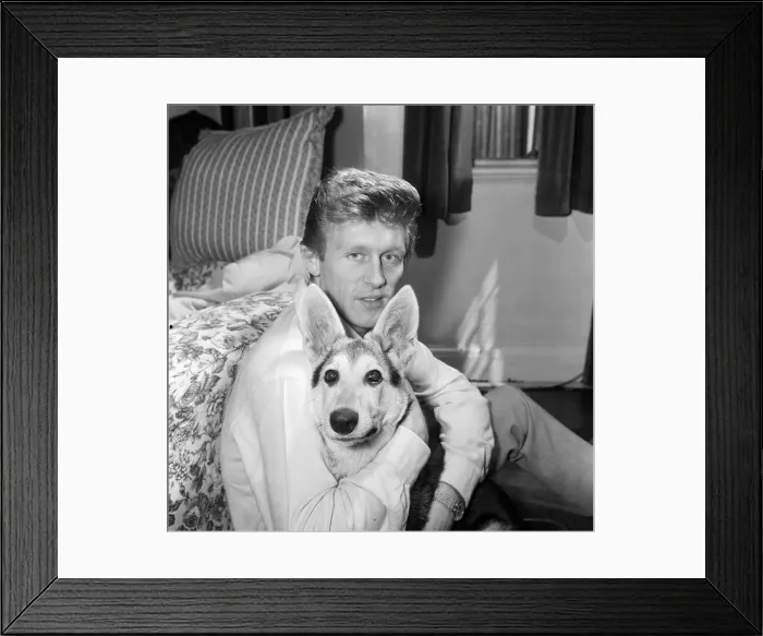 Framed Print : Actor and singer John Leyton. 22nd May 1962 Framed Print : Actor and singer John Leyton. 22nd May 1962