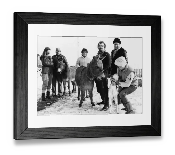 Framed Print : Llanrumney Adventure playground. Cardiff received three new arrivals today Framed Print : Llanrumney Adventure playground. Cardiff received three new arrivals today