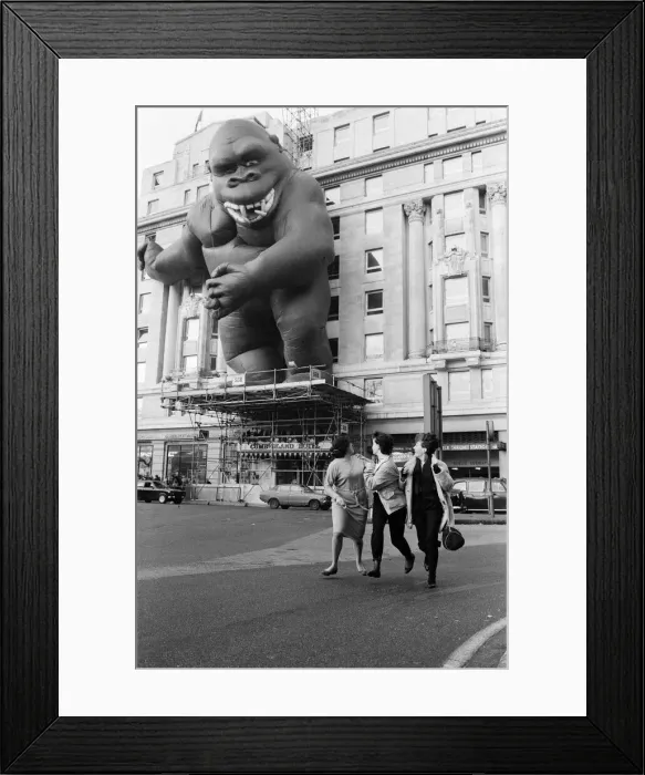 Framed Print : King Kong'towering 90 feet above the traffic Framed Print : King Kong'towering 90 feet above the traffic