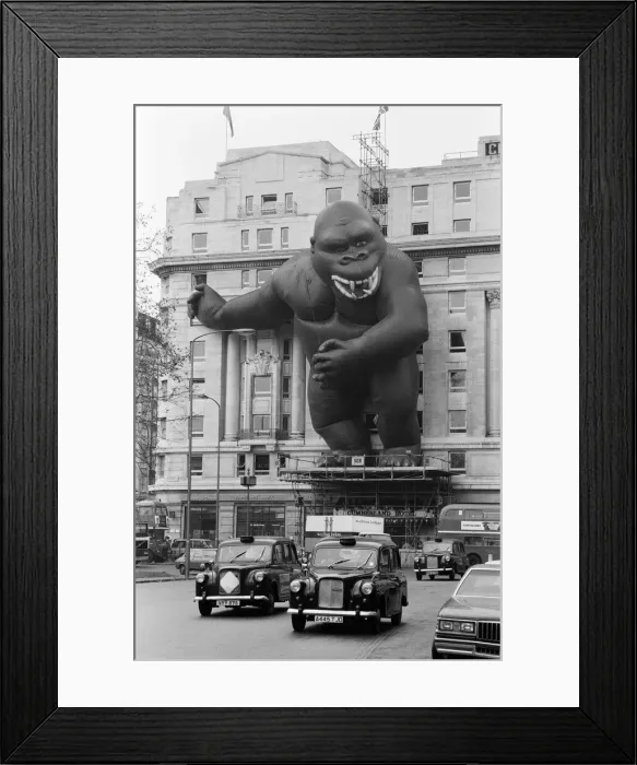 Framed Print : King Kong'towering 90 feet above the traffic Framed Print : King Kong'towering 90 feet above the traffic