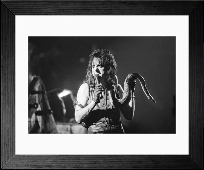 Framed Print : Alice Cooper (born Vincent Damon Furnier) performs at The Birmingham Odeon, Midlands Framed Print : Alice Cooper (born Vincent Damon Furnier) performs at The Birmingham Odeon, Midlands