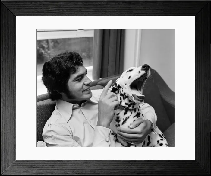 Framed Print : Engelbert Humperdinck at home with his Dalmatian dog. 5th July 1968 Framed Print : Engelbert Humperdinck at home with his Dalmatian dog. 5th July 1968
