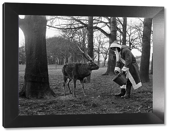Santa Claus and 'reindeer'. 1974