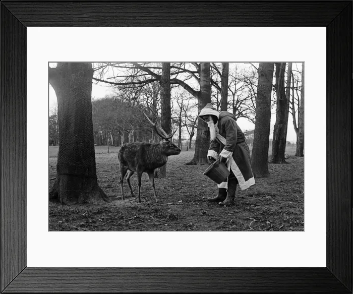 Framed Print : Santa Claus and reindeer'. 1974 Framed Print : Santa Claus and reindeer'. 1974