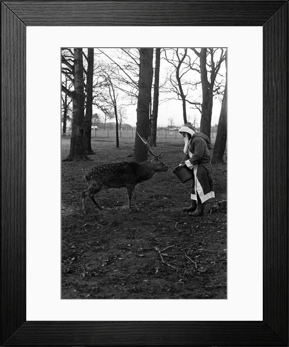 Framed Print : Santa Claus and reindeer'. 1974 Framed Print : Santa Claus and reindeer'. 1974