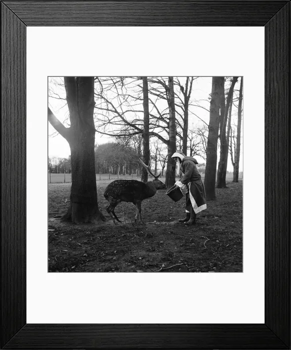 Framed Print : Santa Claus and reindeer'. 1974 Framed Print : Santa Claus and reindeer'. 1974