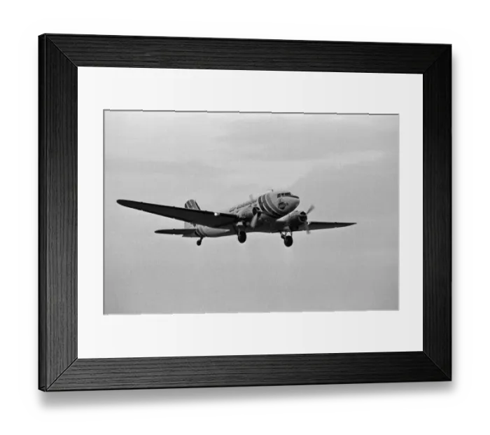 Framed Print : An Air Atlantique Dakota G-AMSV takes to the skies over Coventry Airport to celebrate Framed Print : An Air Atlantique Dakota G-AMSV takes to the skies over Coventry Airport to celebrate