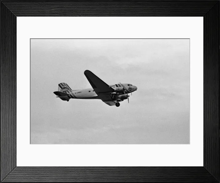 Framed Print : An Air Atlantique Dakota G-AMSV takes to the skies over Coventry Airport to celebrate Framed Print : An Air Atlantique Dakota G-AMSV takes to the skies over Coventry Airport to celebrate