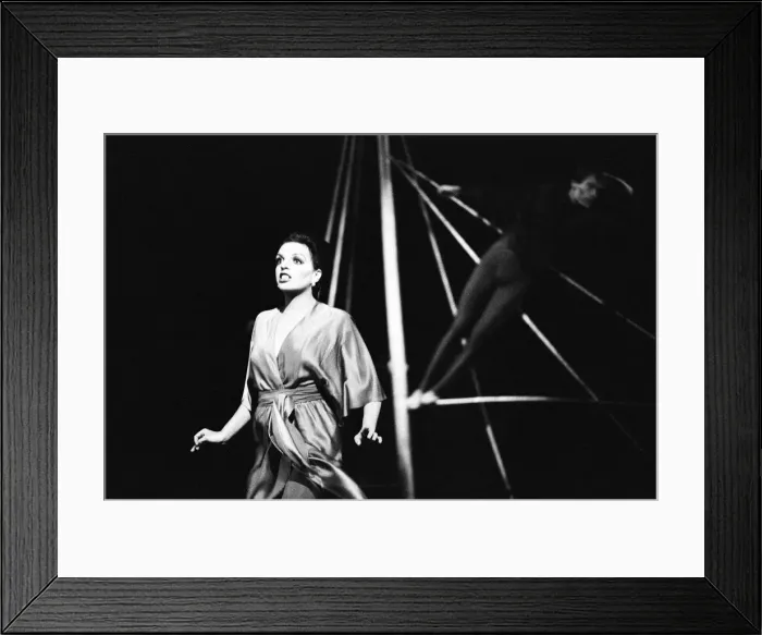 Framed Print : Liza Minnelli in her role as the storyteller on stage at the Royal Opera House Framed Print : Liza Minnelli in her role as the storyteller on stage at the Royal Opera House